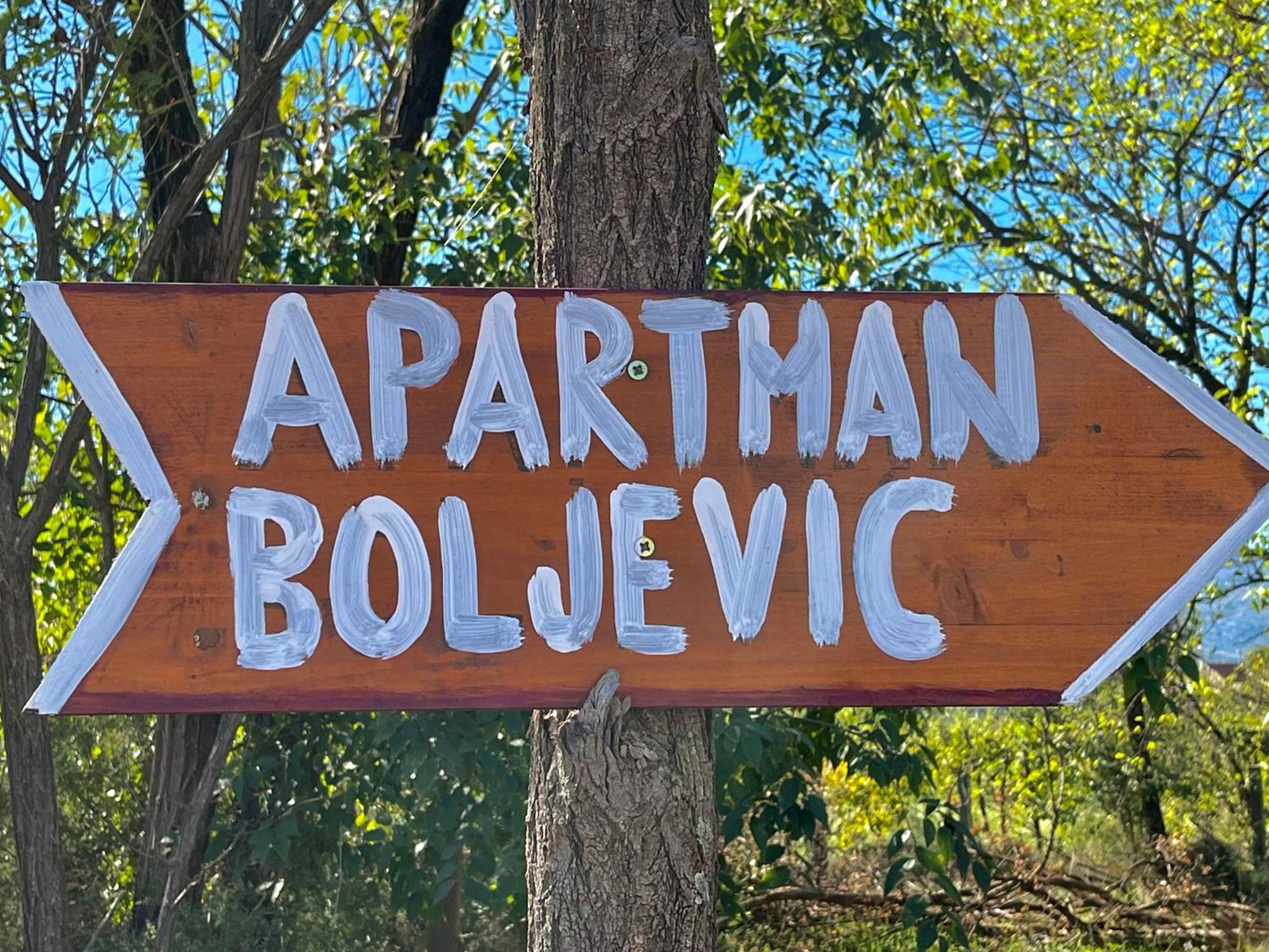 Apartman Boljevic Подгорица Екстериор снимка